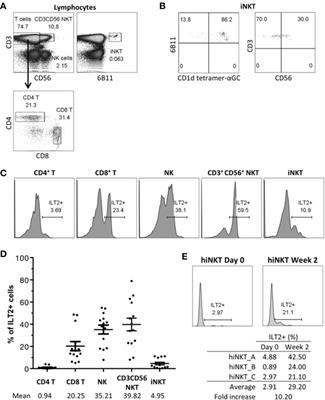 Inhibition of iNKT Cells by the HLA-G-ILT2 Checkpoint and Poor Stimulation by HLA-G-Expressing Tolerogenic DC